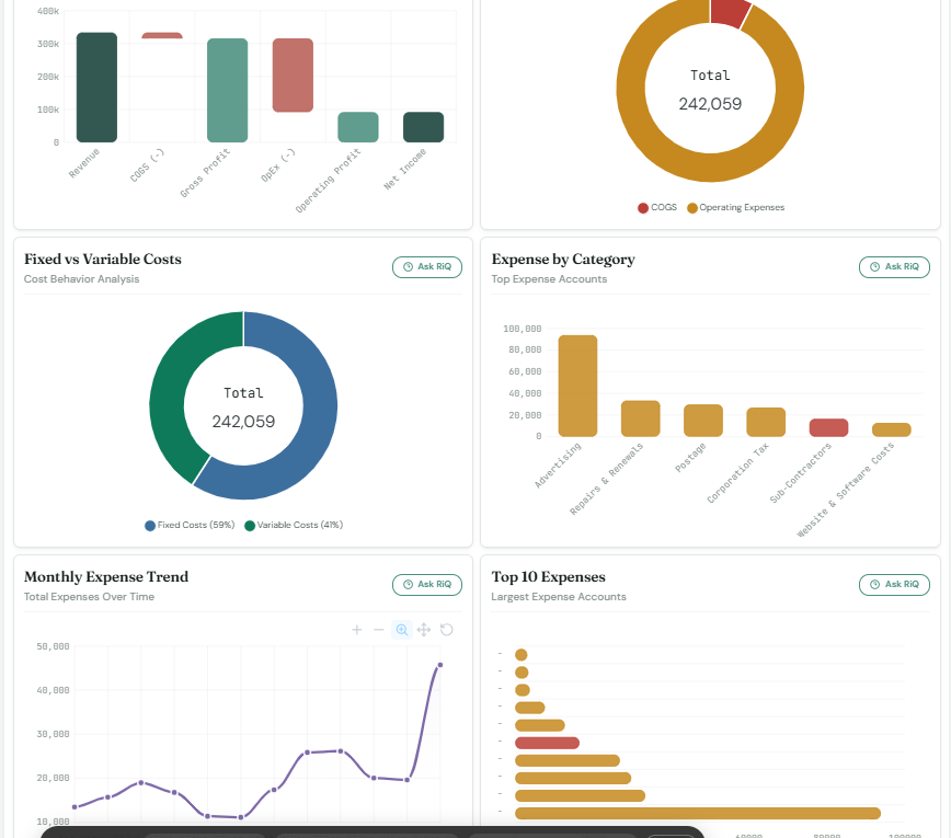 LedgerIQ — Expense structure